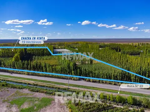 VENTA CHACRA 19 HECT FRENTE RUTA VILLA MANZANO