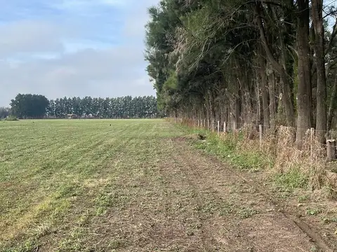 Camino rural campo soso