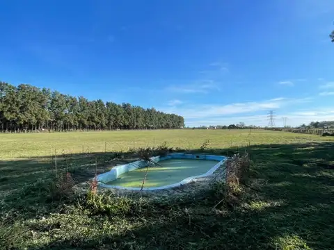 Camino rural campo soso