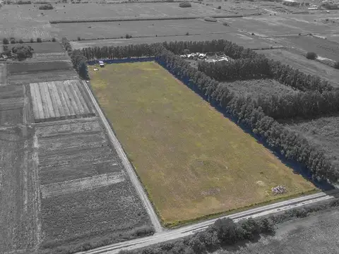 Camino rural campo soso