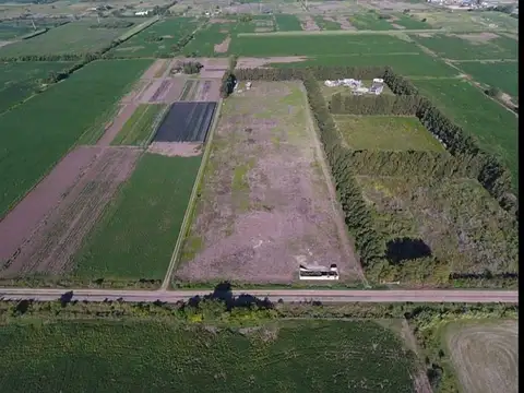 Camino rural campo soso