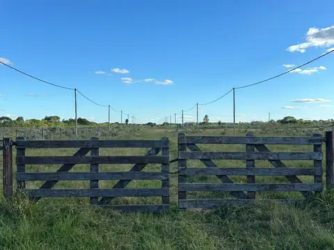 Terreno en Venta en Colonia Carolina, Goya