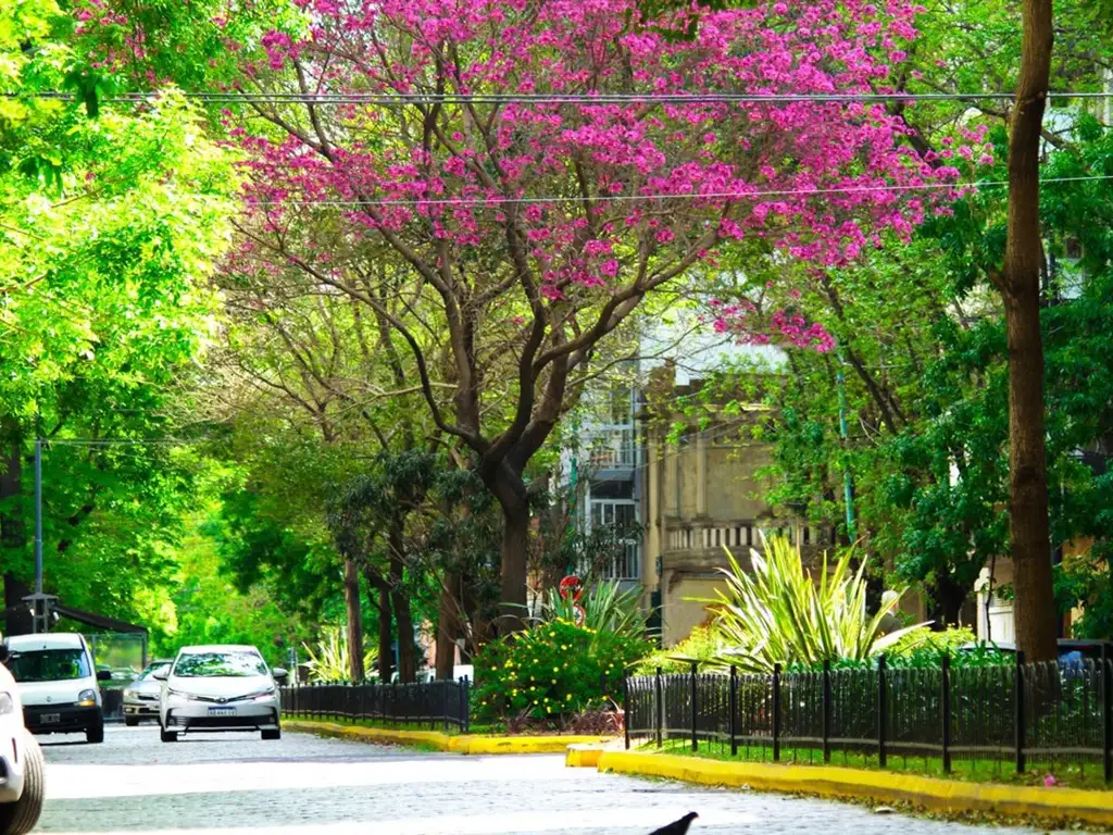 Andonaegui 2129 - Foto 14