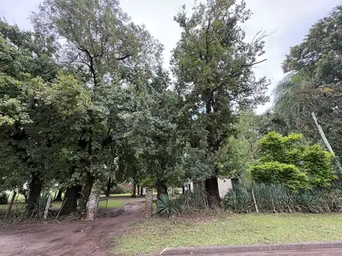 CASA CON GRAN FORESTACION EN RECREO 