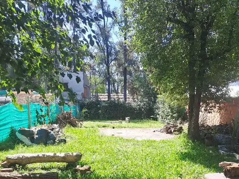 Alta Gracia y Carlos De Linneo