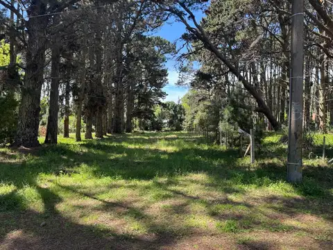 Terreno en Venta de 1013,0 m2