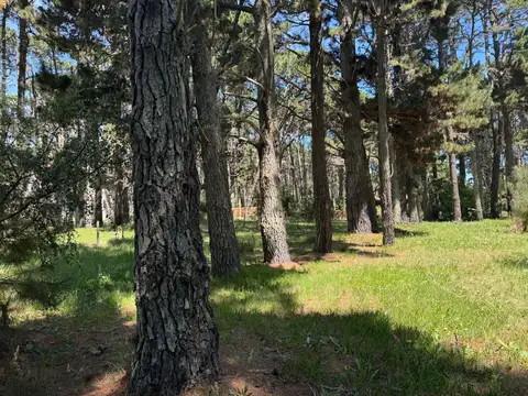 Terreno en Venta 54  mts Fondo