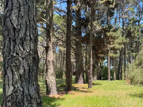 Terreno en Venta 23  mts Frente