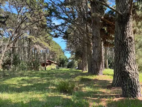 Calle a ceder s/n entre Av. Santa Fe y Uno