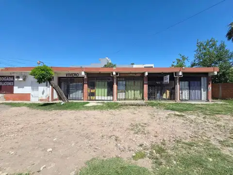 General Pedro Díaz 1200