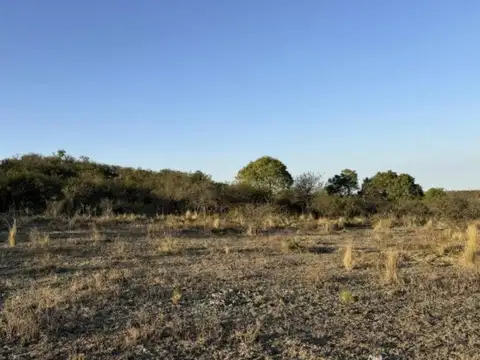 Terreno en Venta de 93000,0 m2