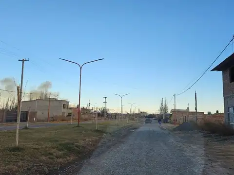 Los frutillares y Manzanares 8000