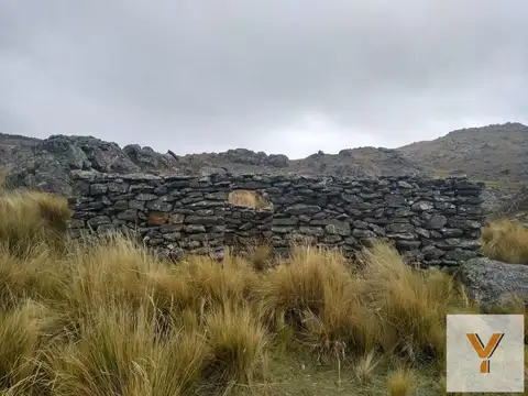 Campo en venta - 52 Ha - Córdoba