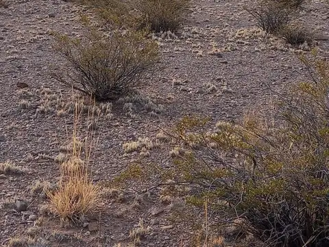 Terreno en Venta de 4000,0 m2