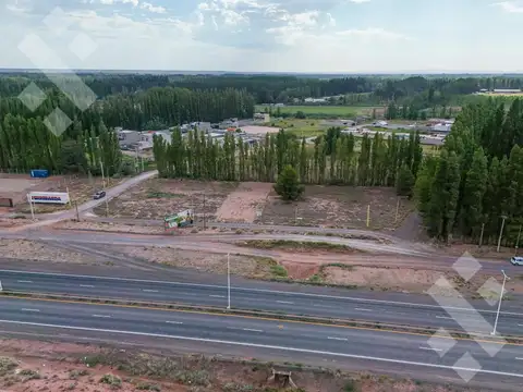 Venta Lote 403 m2 - B° La Consuelo - Centenario
