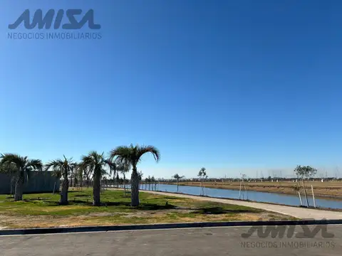 Terreno en Venta 41  mts Fondo