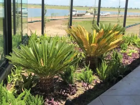 Terreno en Venta de 800,0 m2