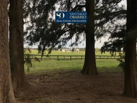 CASAS - CASA - SAN MIGUEL DEL MONTE