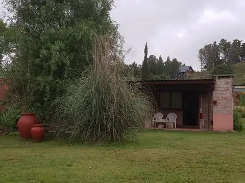 LAS CALANDRIAS Y LOS CHINCHEROS 100