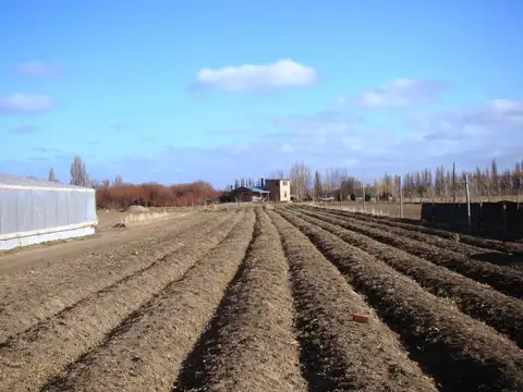 Campo en Venta Chacra