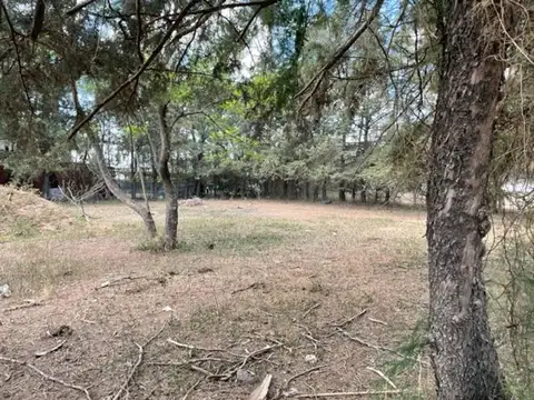 Amplio lote de 944 m2 en zona de quintas San Pedro