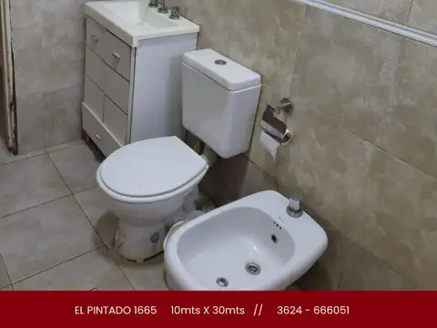 EL PINTADO 1665