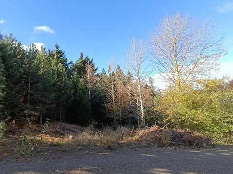 Lote en Pinar del Sol