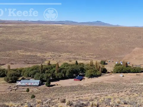 Campo  en venta de 5300 has en Bariloche, Ovejero y Vacuno