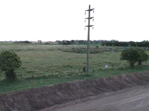 Se venden 3 Has s/pavimento circunvalación V. T.