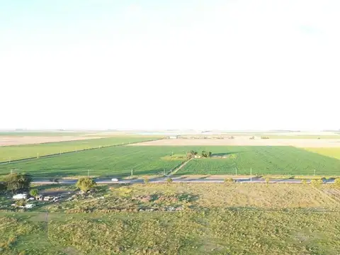 Jacinto Gándara y Matheu