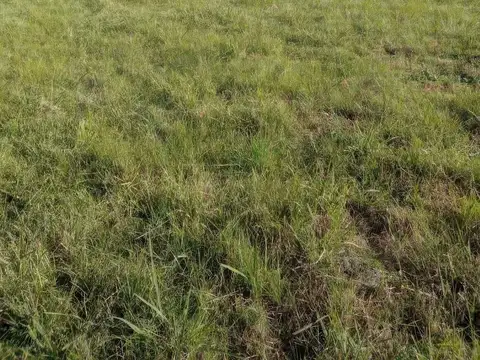 Terreno en Venta 156  mts Frente