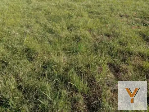 Terreno en Venta 156  mts Frente