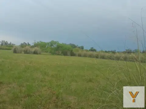 Terrenos en venta - 6621.6Mts2 - Coronel Hughes, Colón, Entre Ríos