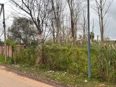 VENTA - AMPLIO LOTE DE 1.404 m² - R. DE MILBERG