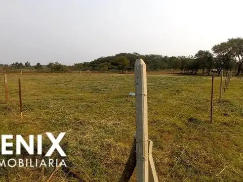 CALLE FORES PEDRO PERPETUO