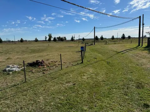 LOTE 100