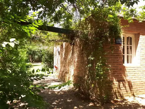 alejandro vitale al 500