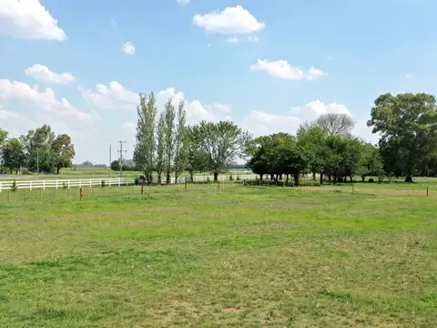 Terreno en Venta de 10000,0 m2