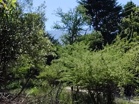 Terreno en Venta en La Poblacion, USD 22.000