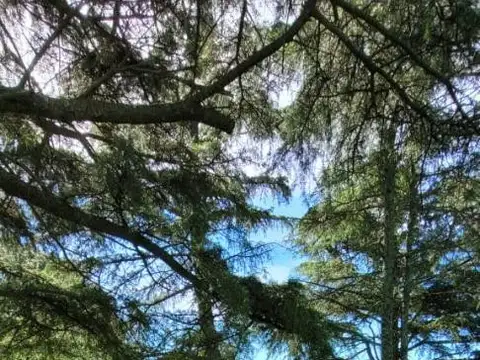 Estacion Vicente Casares