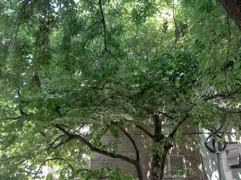 Mcal. Antonio José de Sucre 2500, Piso 2