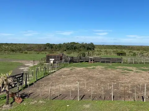 En venta campo ganadero en golondrinas, santa fe