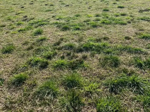 LOTE EN VILLE A EN GREENVILLE POLO & RESORT