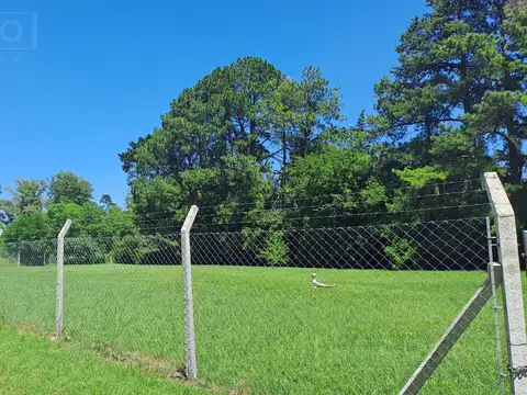 Terreno en Venta 42  mts Fondo