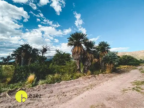 Terreno en Venta en Cortaderas, USD 30.000