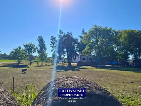 VENTA CAMPO MIXTO DE 100 HECTÁREAS | US$ 4.000/HA. | Napenay, Chaco.
