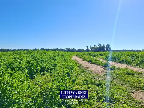 Campo en Venta con Alambrado