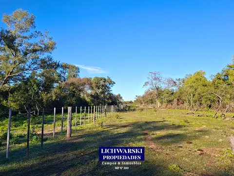 Campo en Venta de 100  ha
