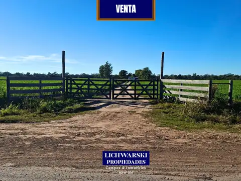 VENTA CAMPO MIXTO DE 100 HECTÁREAS | US$ 4.000/HA. | Napenay, Chaco.