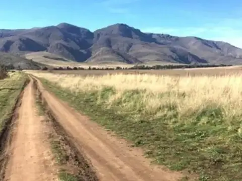 Terreno en Venta 37  mts Frente